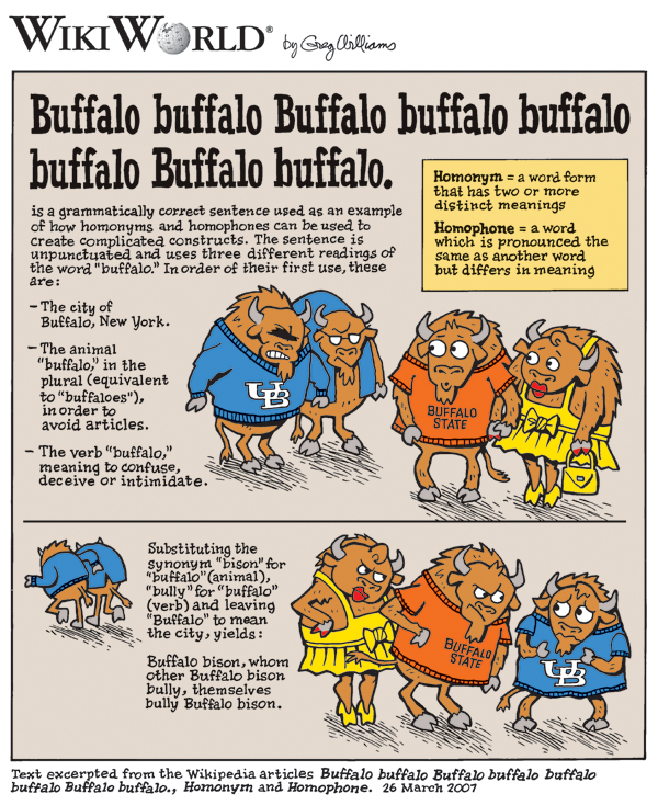 8 buffalos and the English language